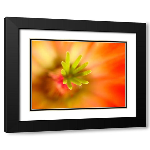 Central Fingers II Black Modern Wood Framed Art Print with Double Matting by Grayscale