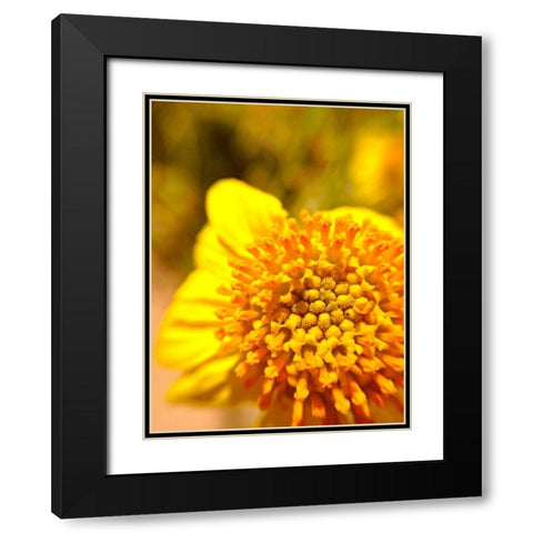 Yellow Cluster I Black Modern Wood Framed Art Print with Double Matting by Grayscale