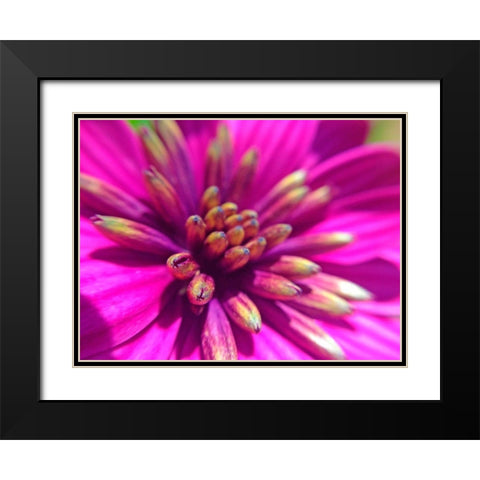 Pink Cluster IV Black Modern Wood Framed Art Print with Double Matting by Grayscale