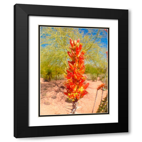 Cactus Blooms I Black Modern Wood Framed Art Print with Double Matting by Grayscale
