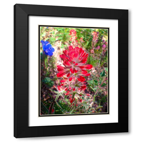 Wildflower Field II Black Modern Wood Framed Art Print with Double Matting by Grayscale