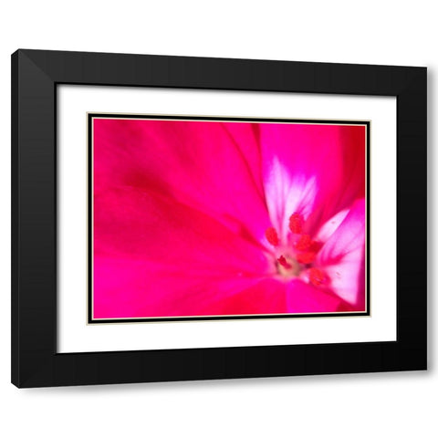 Natural Reactor III Black Modern Wood Framed Art Print with Double Matting by Grayscale