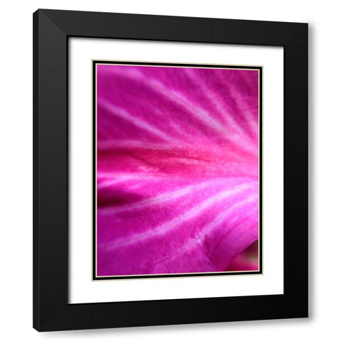 Leaf Stripes I Black Modern Wood Framed Art Print with Double Matting by Grayscale