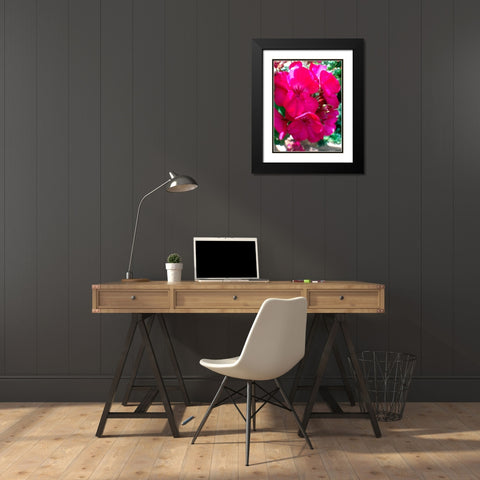Red Begonias I Black Modern Wood Framed Art Print with Double Matting by Grayscale