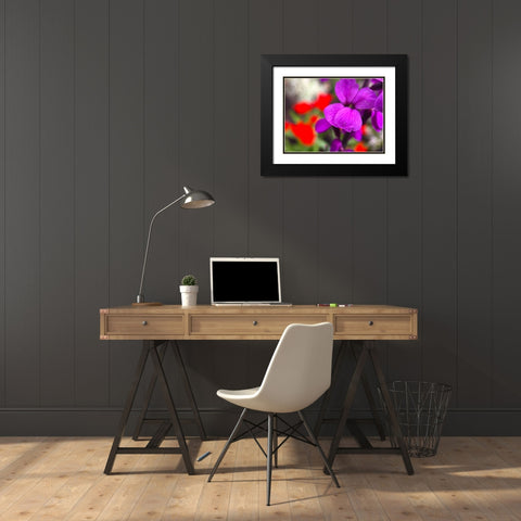 Red and Purple Blooms I Black Modern Wood Framed Art Print with Double Matting by Grayscale
