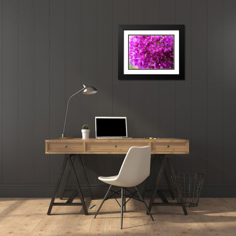Purple Cluster III Black Modern Wood Framed Art Print with Double Matting by Grayscale