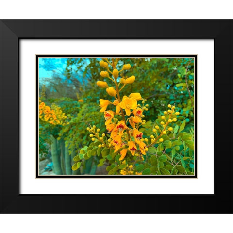 Yellow Blooms I Black Modern Wood Framed Art Print with Double Matting by Grayscale