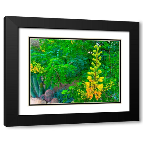 Yellow Blooms II Black Modern Wood Framed Art Print with Double Matting by Grayscale