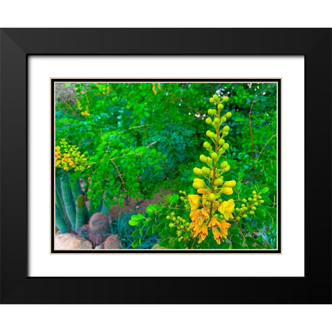 Yellow Blooms II Black Modern Wood Framed Art Print with Double Matting by Grayscale