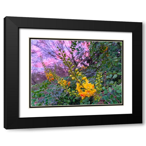 Yellow Blooms IV Black Modern Wood Framed Art Print with Double Matting by Grayscale