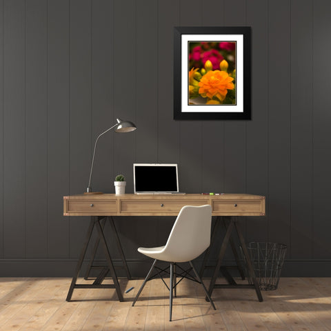 Yellow Blooms V Black Modern Wood Framed Art Print with Double Matting by Grayscale