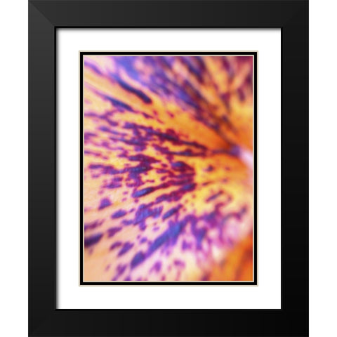 Lava Leaf I Black Modern Wood Framed Art Print with Double Matting by Grayscale