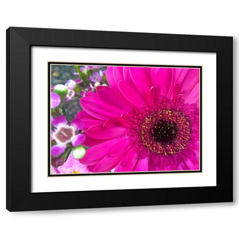 Flower Center II Black Modern Wood Framed Art Print with Double Matting by Grayscale