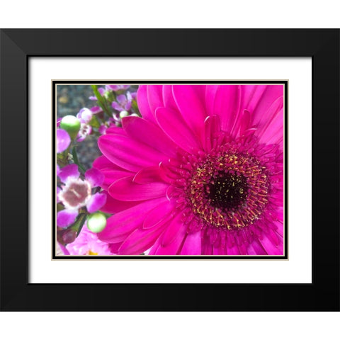Flower Center II Black Modern Wood Framed Art Print with Double Matting by Grayscale