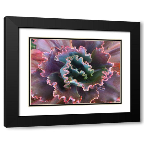 Ribbons II Black Modern Wood Framed Art Print with Double Matting by Grayscale