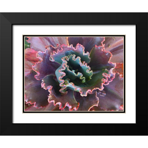 Ribbons II Black Modern Wood Framed Art Print with Double Matting by Grayscale