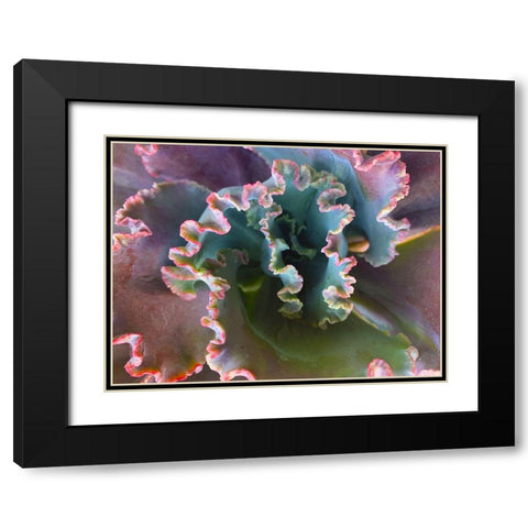 Ribbons III Black Modern Wood Framed Art Print with Double Matting by Grayscale