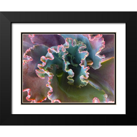 Ribbons III Black Modern Wood Framed Art Print with Double Matting by Grayscale