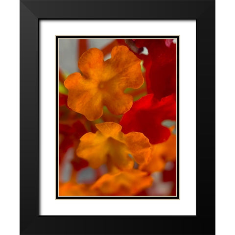 Lantana VII Black Modern Wood Framed Art Print with Double Matting by Grayscale
