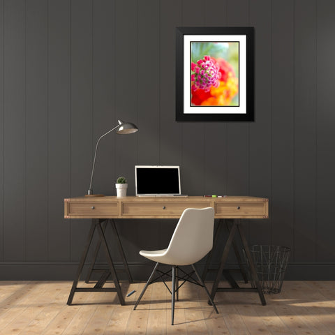 Lantana VIII Black Modern Wood Framed Art Print with Double Matting by Grayscale