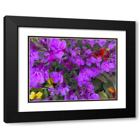 Flower Spot II Black Modern Wood Framed Art Print with Double Matting by Grayscale