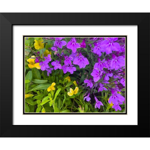 Flower Spot III Black Modern Wood Framed Art Print with Double Matting by Grayscale