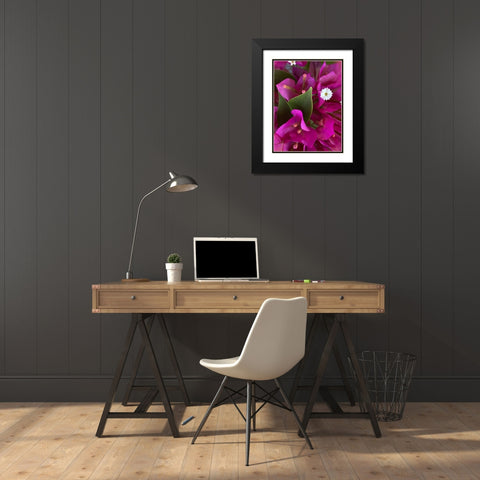 Bougainvillea II Black Modern Wood Framed Art Print with Double Matting by Grayscale