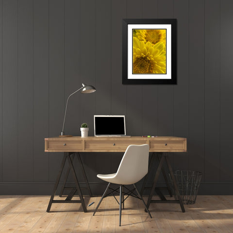 Yellow Blooms XI Black Modern Wood Framed Art Print with Double Matting by Grayscale