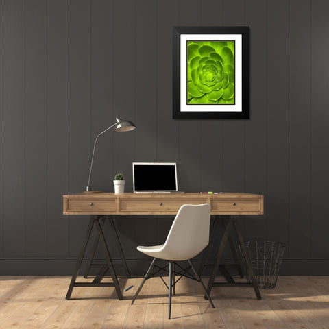 Green Bloom I Black Modern Wood Framed Art Print with Double Matting by Grayscale