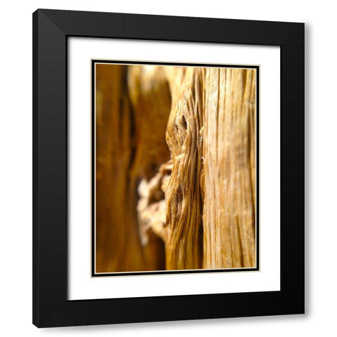 Wood Fiber I Black Modern Wood Framed Art Print with Double Matting by Grayscale