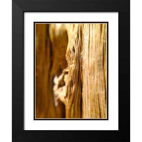 Wood Fiber I Black Modern Wood Framed Art Print with Double Matting by Grayscale