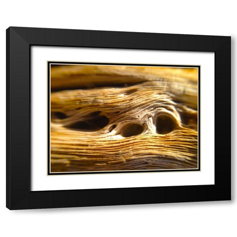 Wood Fiber II Black Modern Wood Framed Art Print with Double Matting by Grayscale