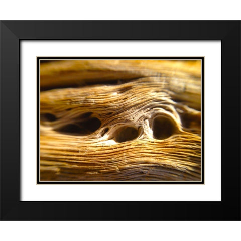 Wood Fiber II Black Modern Wood Framed Art Print with Double Matting by Grayscale