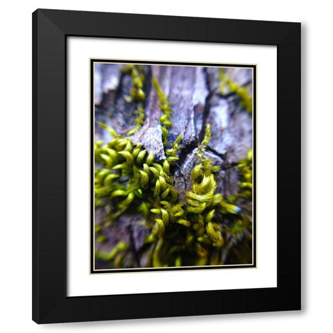 Bark Hair I Black Modern Wood Framed Art Print with Double Matting by Grayscale