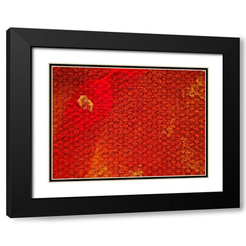Canvas Closeup III Black Modern Wood Framed Art Print with Double Matting by Grayscale