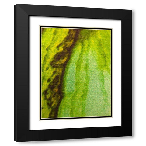 Canvas Closeup V Black Modern Wood Framed Art Print with Double Matting by Grayscale