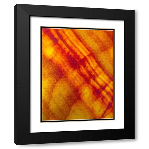 Canvas Closeup VI Black Modern Wood Framed Art Print with Double Matting by Grayscale