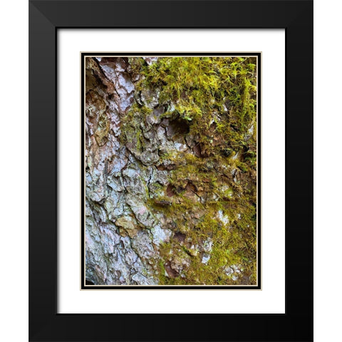 Bark and Moss I Black Modern Wood Framed Art Print with Double Matting by Grayscale