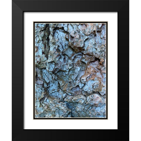 Bark Scales I Black Modern Wood Framed Art Print with Double Matting by Grayscale