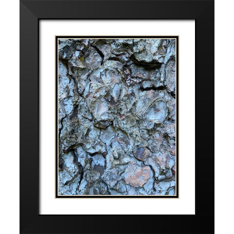 Bark Scales II Black Modern Wood Framed Art Print with Double Matting by Grayscale