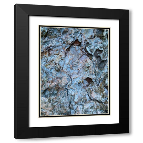 Bark Scales III Black Modern Wood Framed Art Print with Double Matting by Grayscale