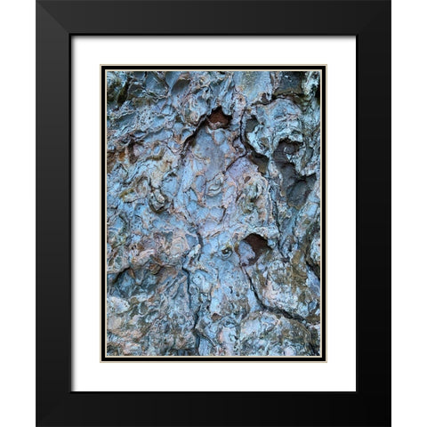 Bark Scales III Black Modern Wood Framed Art Print with Double Matting by Grayscale