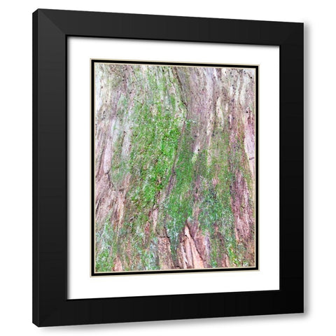 Bark and Moss II Black Modern Wood Framed Art Print with Double Matting by Grayscale