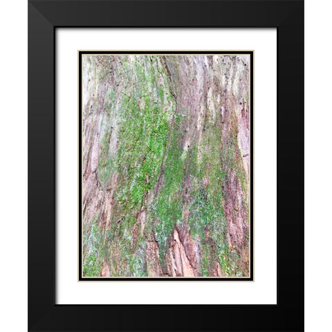 Bark and Moss II Black Modern Wood Framed Art Print with Double Matting by Grayscale
