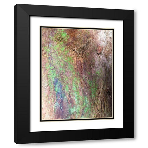 Bark and Moss III Black Modern Wood Framed Art Print with Double Matting by Grayscale