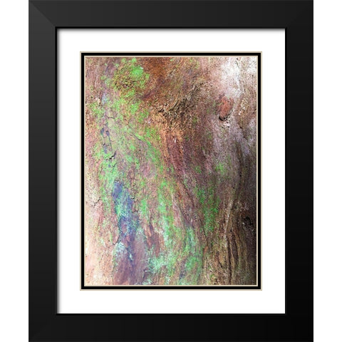 Bark and Moss III Black Modern Wood Framed Art Print with Double Matting by Grayscale