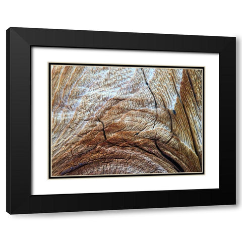 Bark Arc I Black Modern Wood Framed Art Print with Double Matting by Grayscale