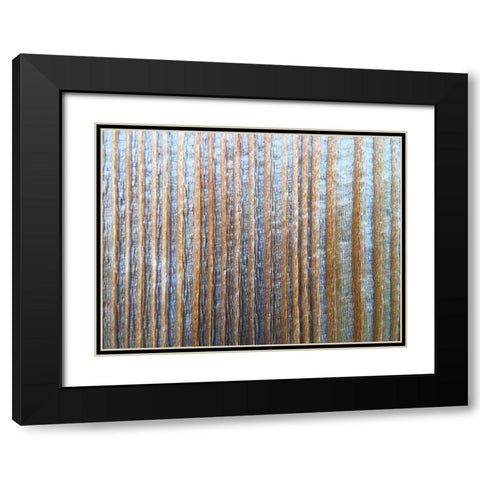 Bark Stripes I Black Modern Wood Framed Art Print with Double Matting by Grayscale