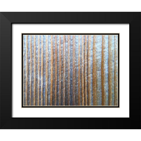 Bark Stripes I Black Modern Wood Framed Art Print with Double Matting by Grayscale