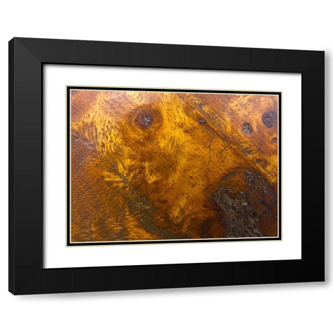 Wood Texture II Black Modern Wood Framed Art Print with Double Matting by Grayscale